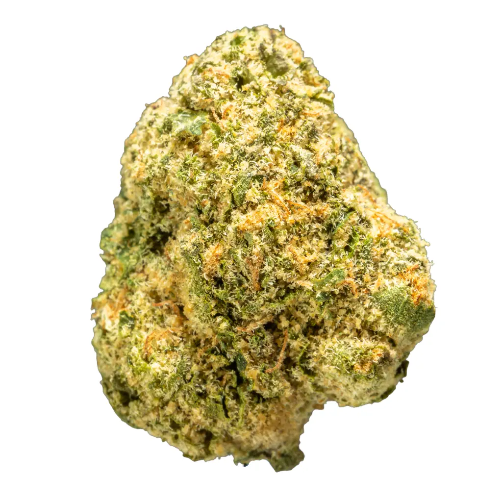 Stax - THCA Flower - Pineapple Dog Shit - Single #1.webp