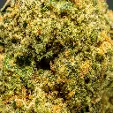 Stax - THCA Flower - Pineapple Dog Shit - Macro #2.webp