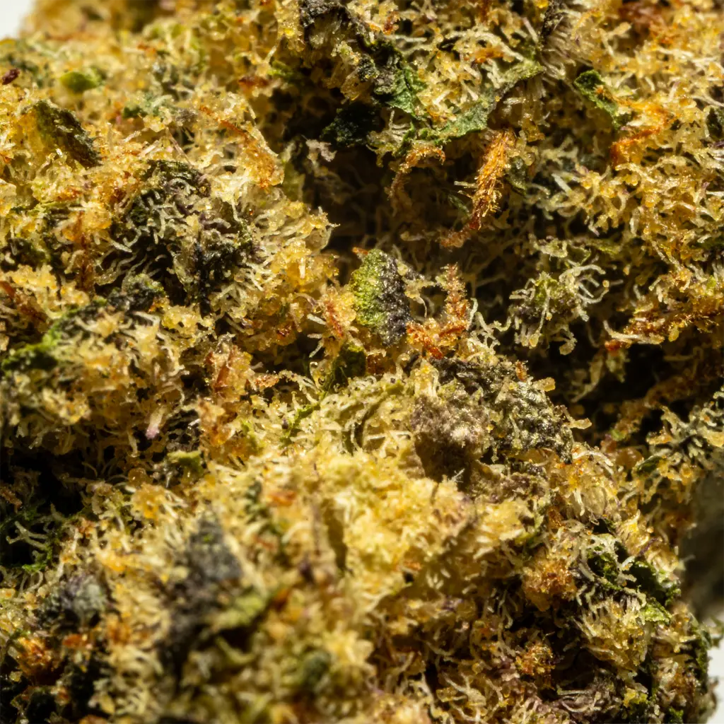 Stax - THCA Flower - 4.2g - Huckleberry Soda - Macro #2.webp