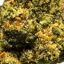 Stax - THCA Flower - 4.2g - Guavalicious - Macro #2.webp