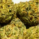 Stax - THCA Flower - 4.2g - Guavalicious - Small Group #5.webp