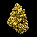Gelato -FLOAT- 101025.webp