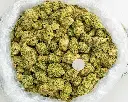 Gelato -BAG- 101025.webp