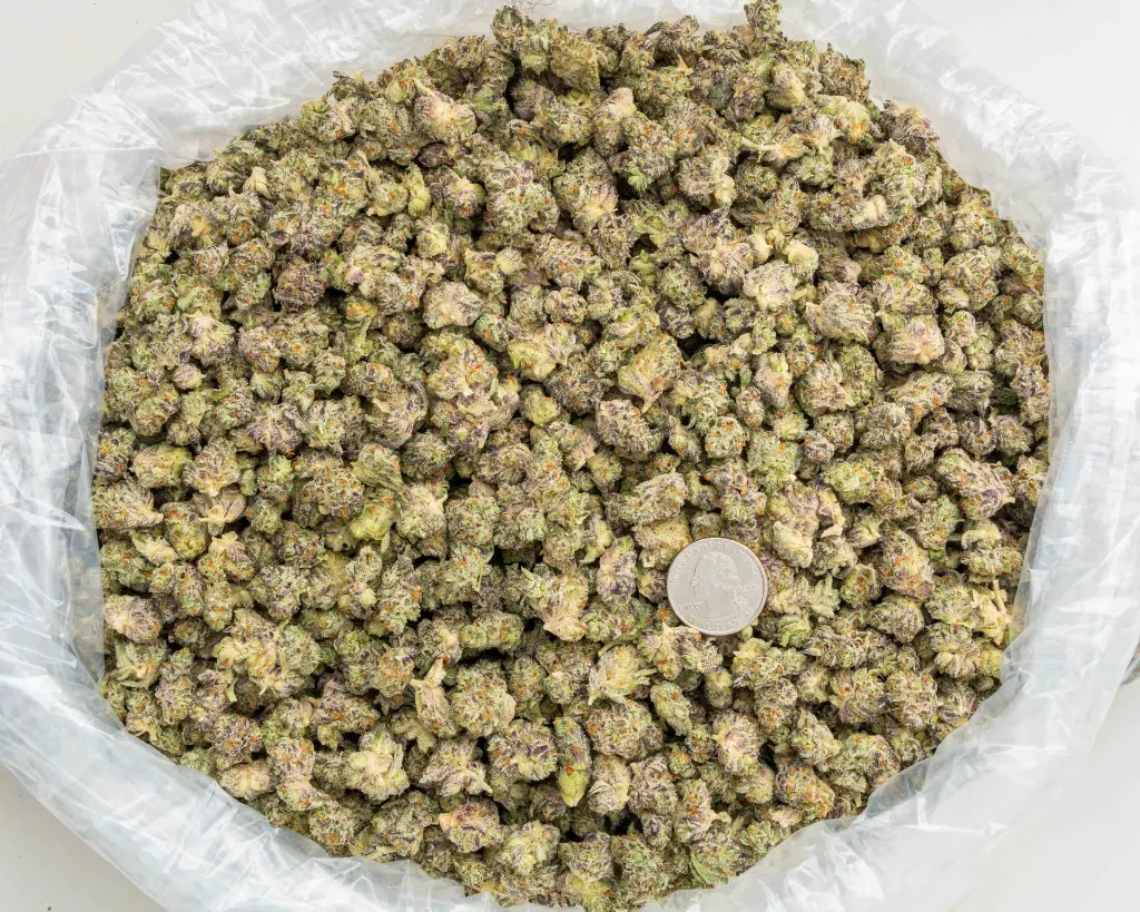 White Truffle Indoor Smalls -BAG- 100225.webp