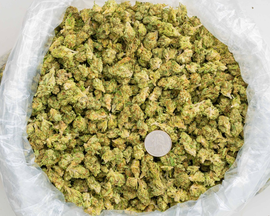 Wedding Cake -BAG- 092925.jpg