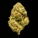 Candy Glue Indoor Mediums -FLOAT- 101325.webp