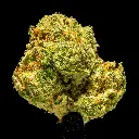 Zashimi Smalls -FLOAT- 101425.webp