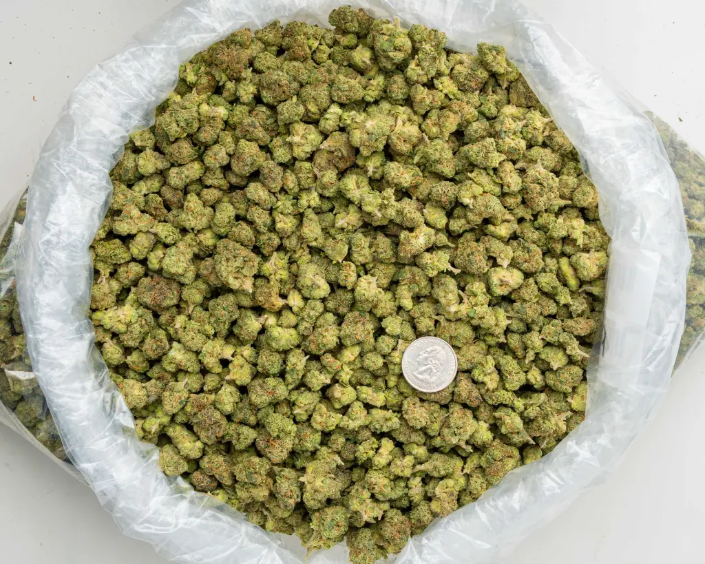 Super Runtz Indoor Smalls -BAG- 101325.webp