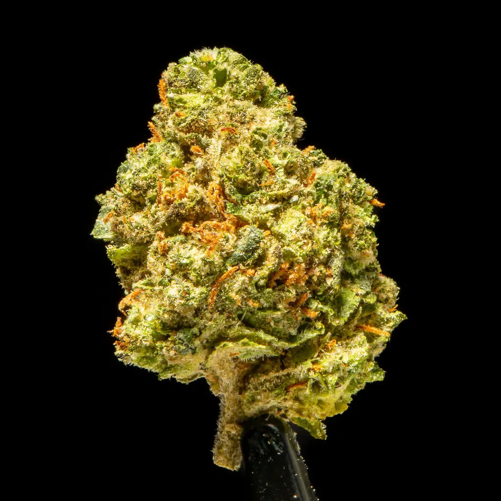 Super Runtz Indoor Smalls -FLOAT- 101325.webp