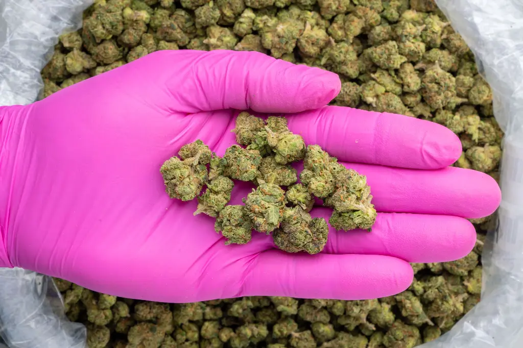 Super Runtz Indoor Smalls -PINK- 101325.webp