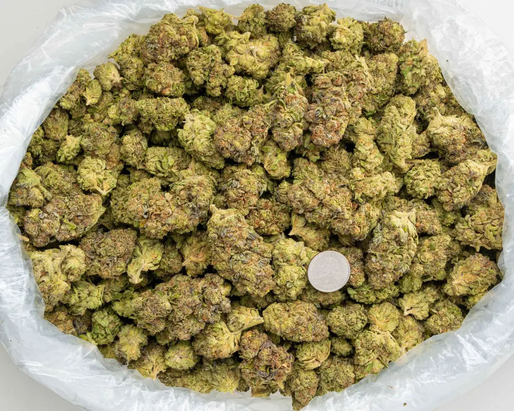 Garlic Truffle -BAG- 101325.webp
