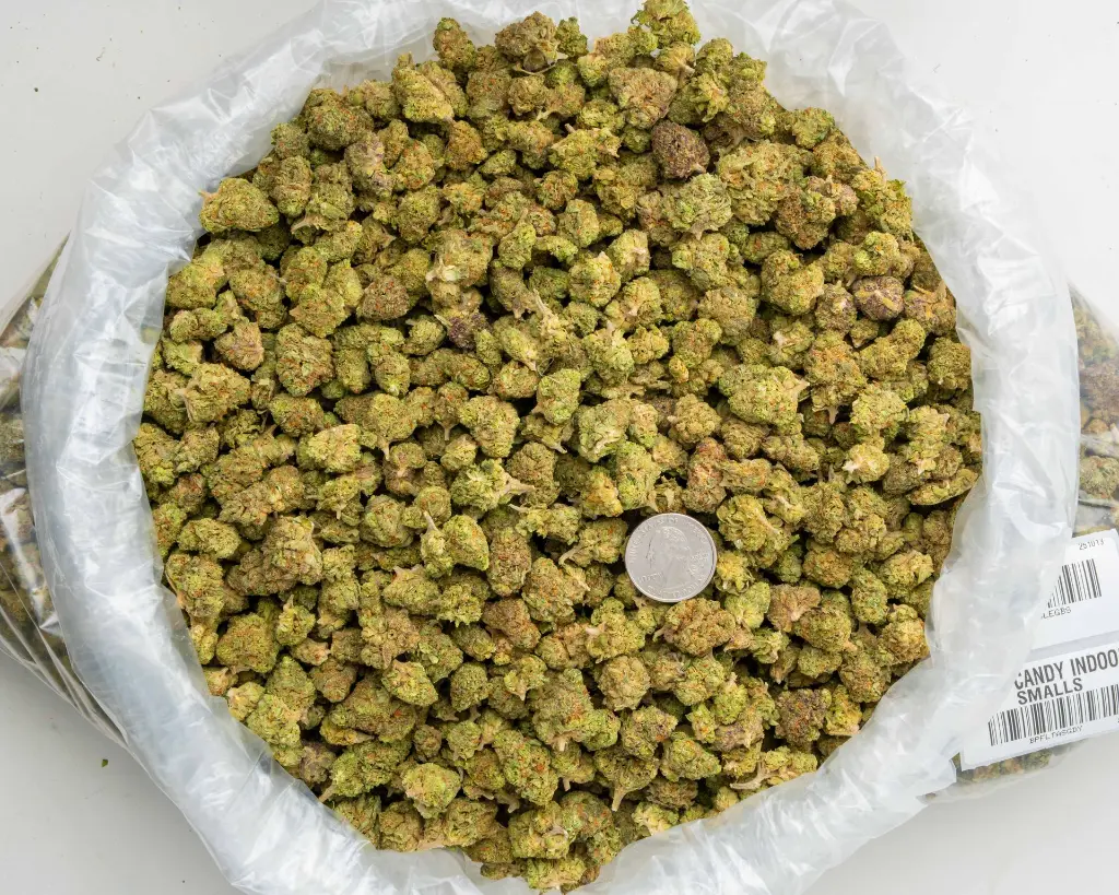 Grape Candy Indoor Smalls -BAG- 101325.webp