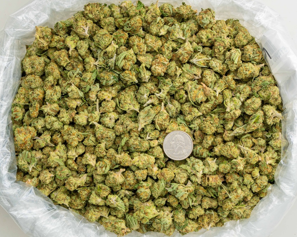 Banana Cooler Smalls -BAG- 050825 20250508RRBCS.webp