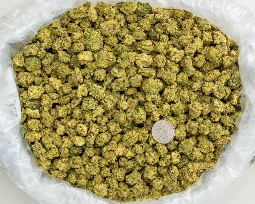 Astro Candy Smalls -BAG- 101425.webp