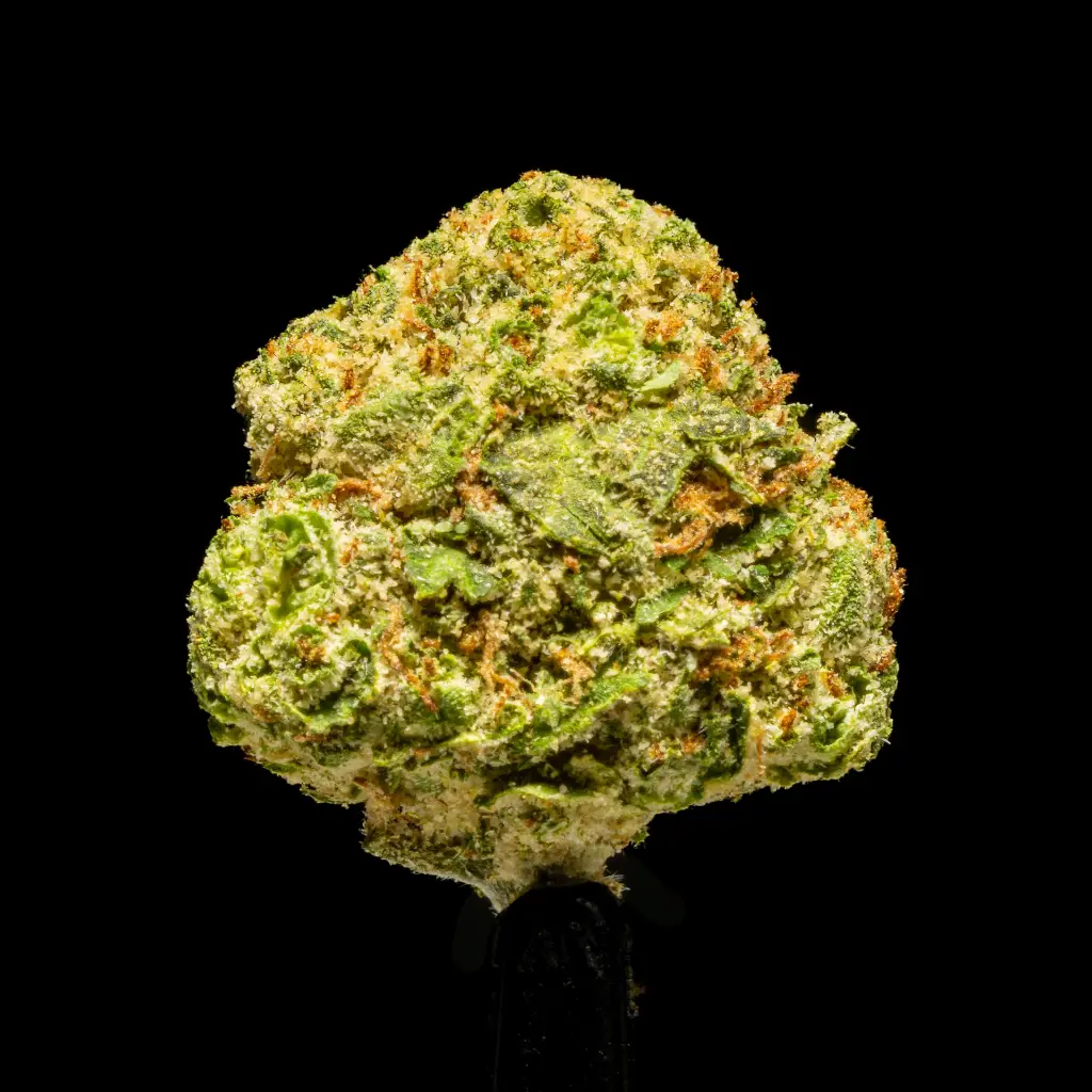 Mafia Funeral Smalls -FLOAT- 101025.webp
