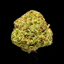 Mafia Funeral Smalls -FLOAT- 101025.webp