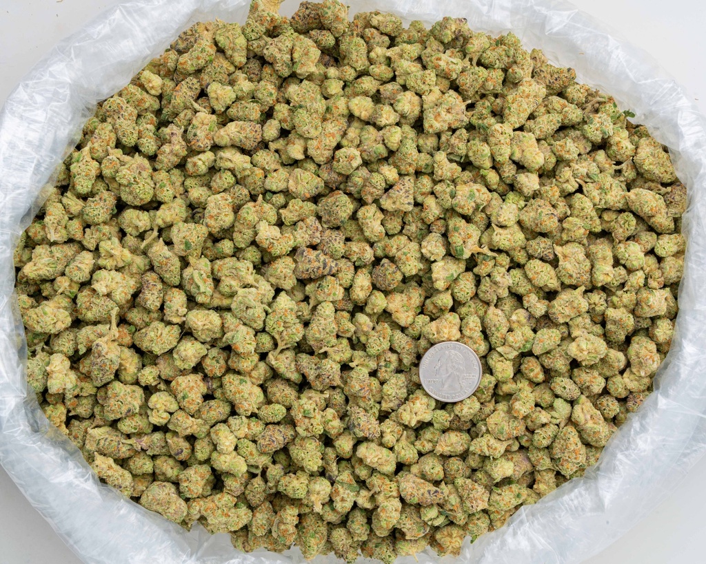 Hooch Indoor Smalls -BAG- 100225.webp