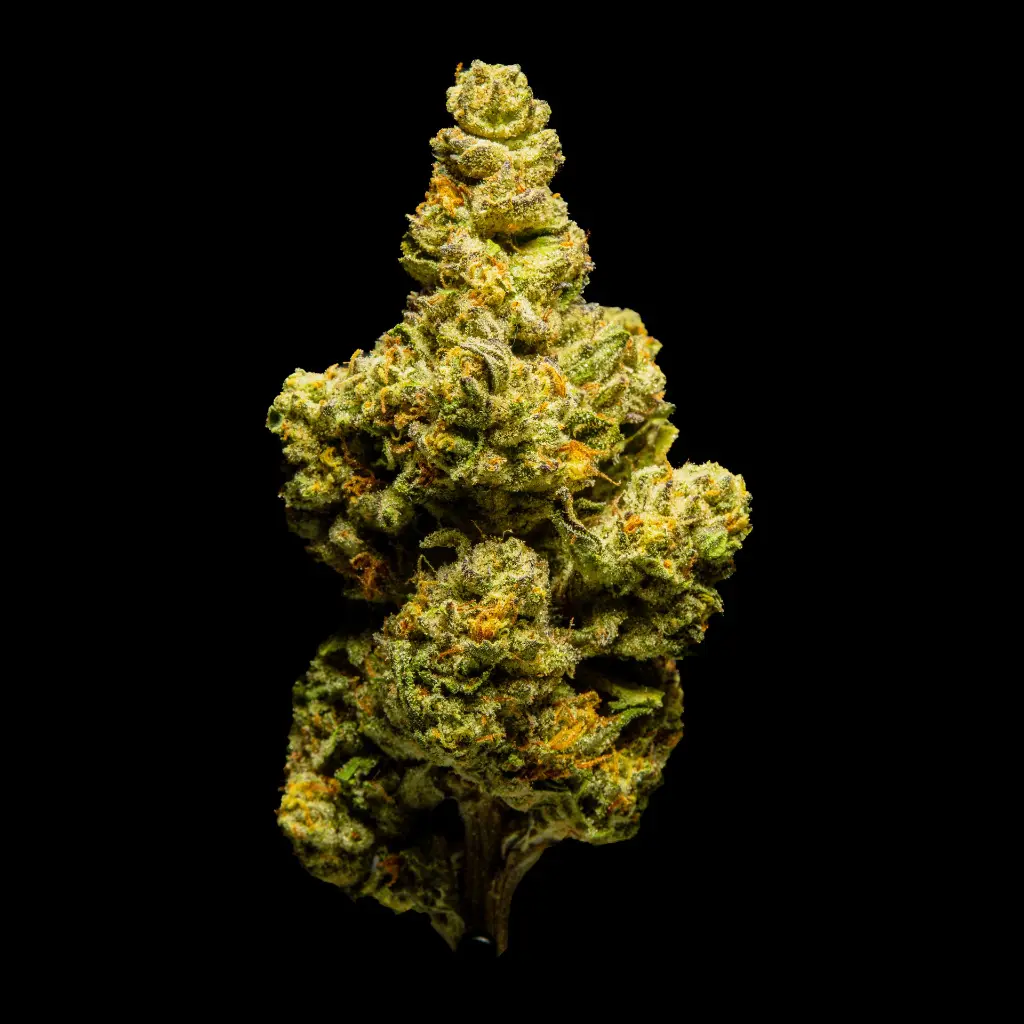 Sub Zero -FLOAT- 082125 20250820ISSGU.webp