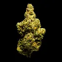 Sub Zero -FLOAT- 082125 20250820ISSGU.webp