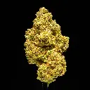Purple Champagne -FLOAT- 101325.webp