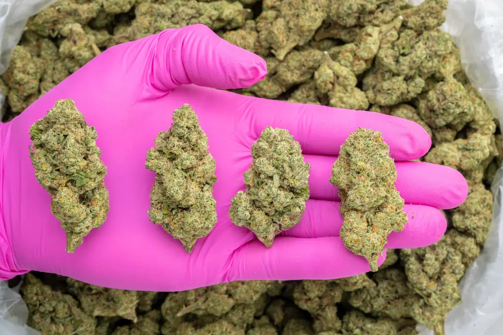 Sour Patch Candy -PINK- 101425.webp