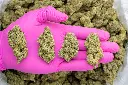 Sour Patch Candy -PINK- 101425.webp