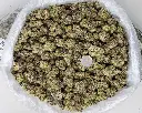 Gumbo Indoor Mediums -BAG- 071525 20250715WAGBO.webp