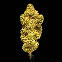 Grape Candy Indoor -FLOAT- 101325.webp