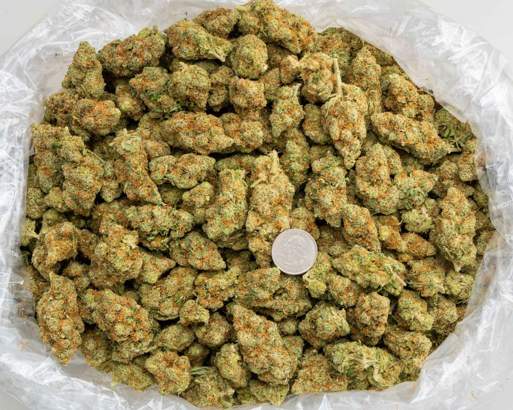 Frozen Grapes -BAG- 101725.jpg