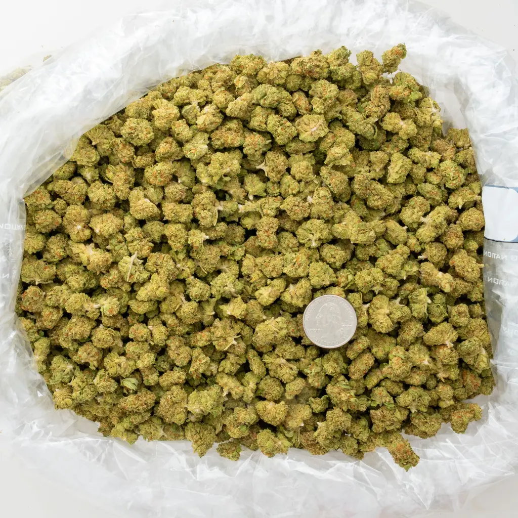 Acai Gelato Smalls -BAG- 062625 20250625MKACS.webp