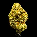 M Runtz -FLOAT- 101725.webp