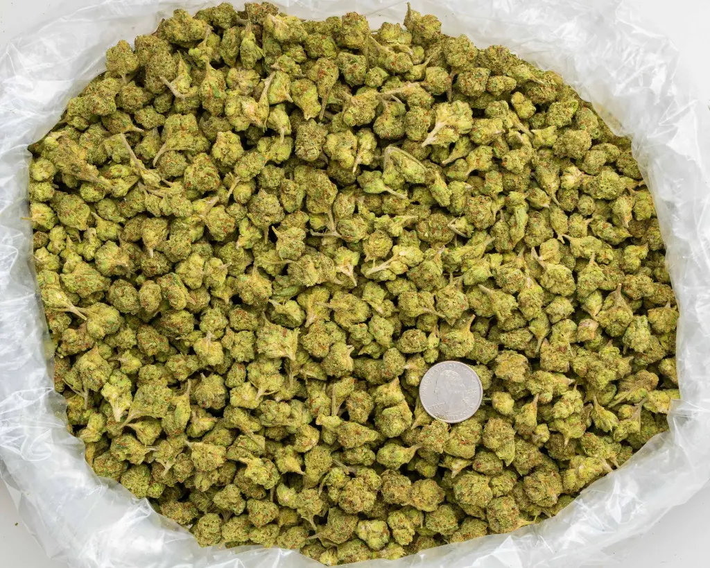 Emerald Runtz -BAG- 101725.webp