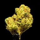 Emerald Runtz -FLOAT- 101725.webp