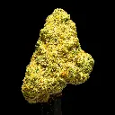 Future Haze Indoor Smalls -FLOAT- 101725.webp