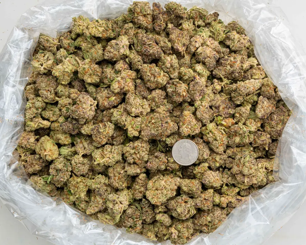 Gas Queen -BAG- 101725.webp