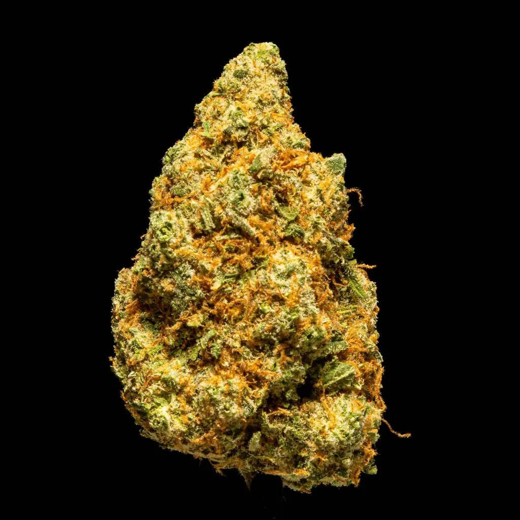 Frozen Grapes -FLOAT- 101725.webp