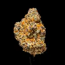 Lemon Slam Indoor -FLOAT- 092625 20250925SALMS (2).webp