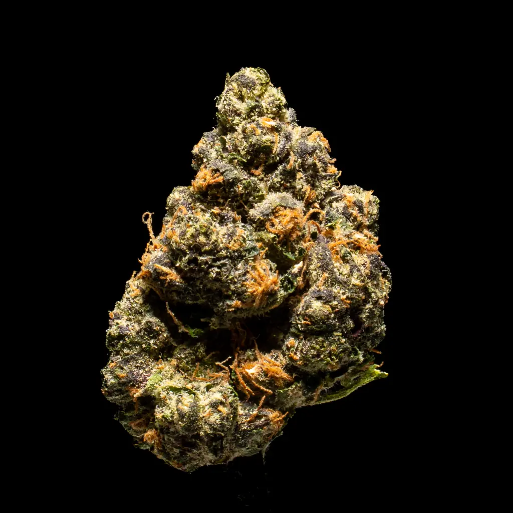 Watermelon Zkittles Indoor Smalls -FLOAT- 102325.webp