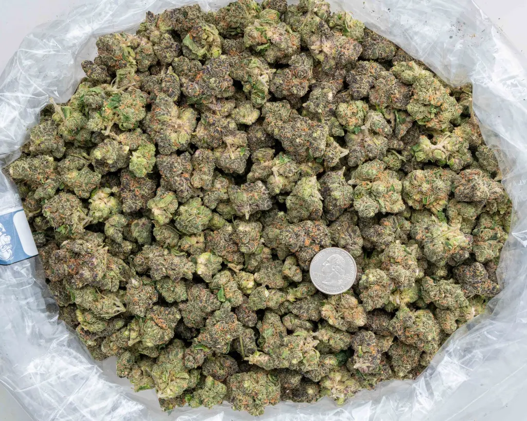 Watermelon Zkittles Indoor Smalls -BAG- 102325.webp