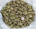 Watermelon Zkittles Indoor Smalls -BAG- 102325.webp