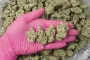 ChimeraJunkyIndoor-NUG-10-24-25.webp