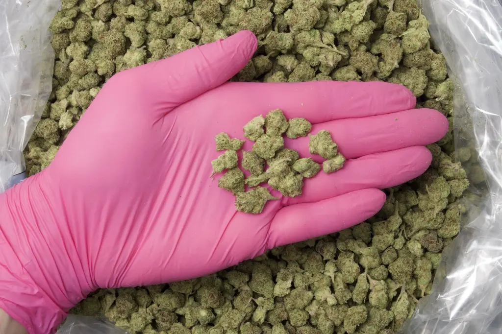 ZOREOSSMALLS-NUG-10-24-25.webp