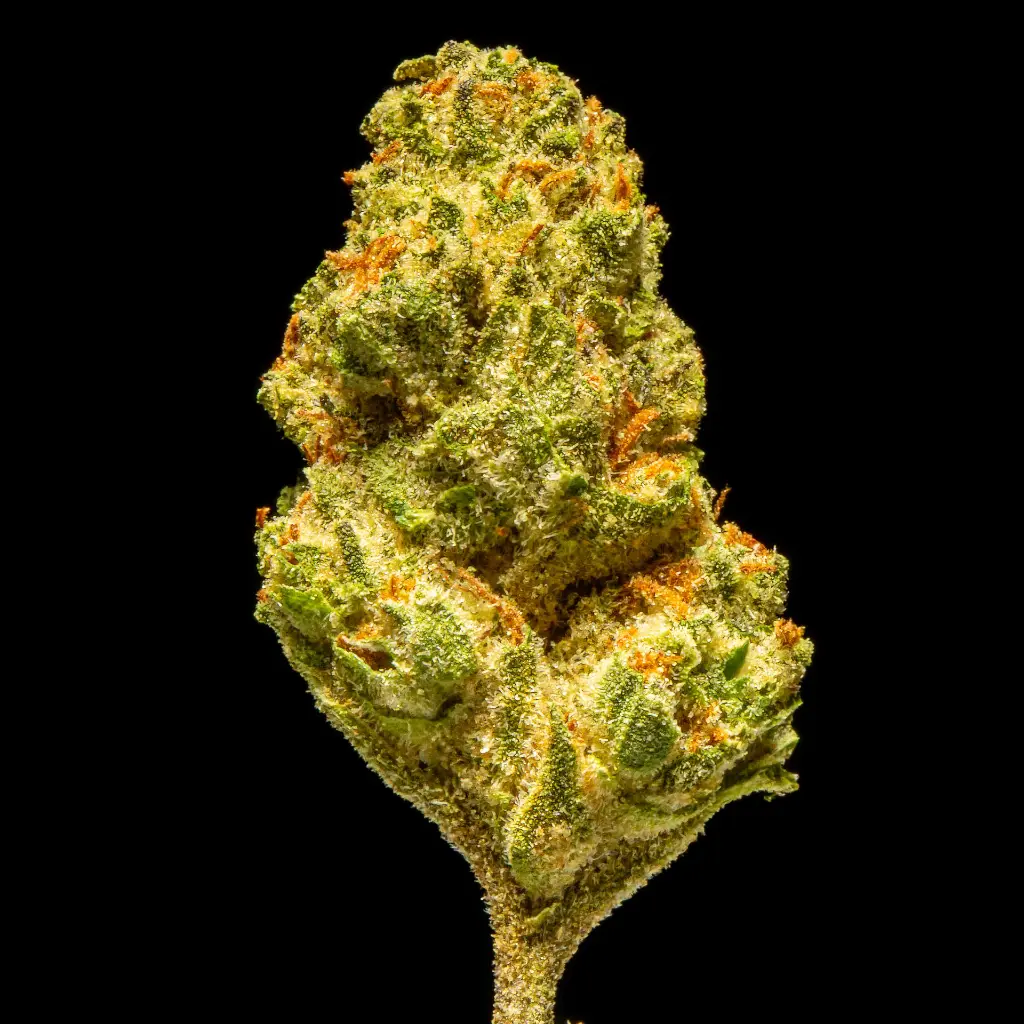 Gooshmintz Smalls -FLOAT- 101425.webp