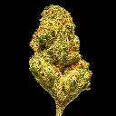 Gooshmintz Smalls -FLOAT- 101425.webp