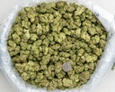 Banaconda Indoor -BAG- 071825 20250718MHMBG.webp
