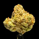 Blue Nerds Smalls -FLOAT- 101325.webp