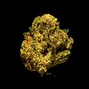 Gelato #41 Smalls -FLOAT- 102725.webp