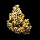 Lemon Slam Indoor Smalls -FLOAT- 101725.webp