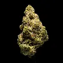 Georgie Pie x Gastro Pop Indoor -FLOAT- 102325.webp