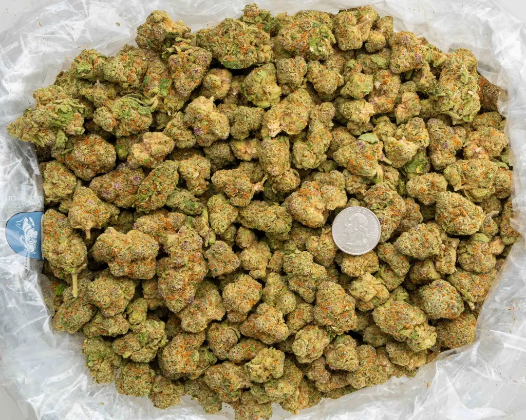 Exotic V2 -BAG- 101725.webp